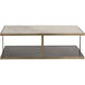 Kamali 60 X 30 inch Matte / Antique Gold Coffee Table